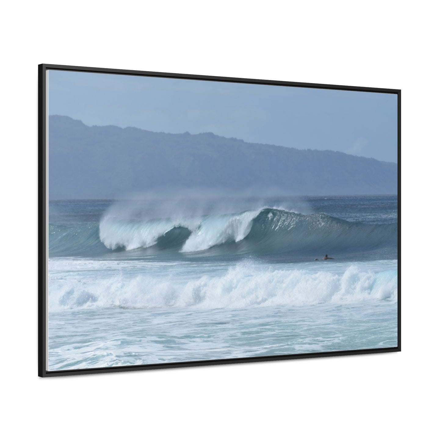 Gallery Canvas Wraps, Horizontal Frame